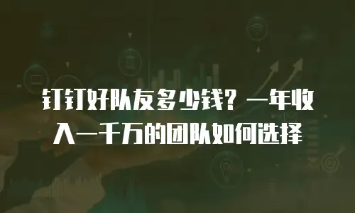 钉钉好队友多少钱？一年收入一千万的团队如何选择