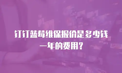 钉钉蓝莓维保报价是多少钱一年的费用？