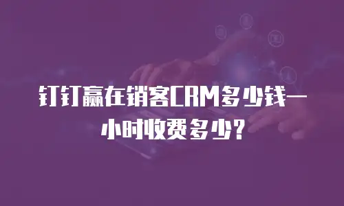 钉钉赢在销客CRM多少钱一小时收费多少？