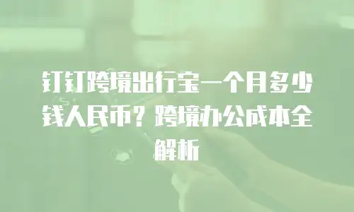 钉钉跨境出行宝一个月多少钱人民币？跨境办公成本全解析