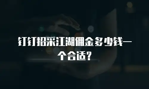 钉钉招采江湖佣金多少钱一个合适？
