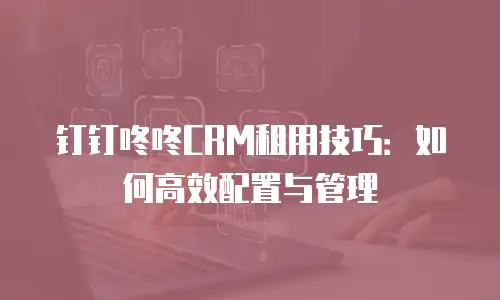 钉钉咚咚CRM租用技巧：如何高效配置与管理