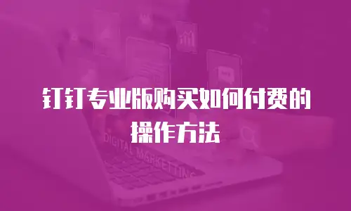 钉钉专业版购买如何付费的操作方法