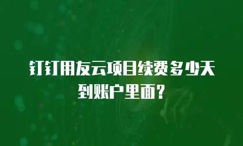 钉钉用友云项目续费多少天到账户里面？