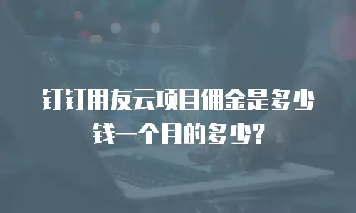 钉钉用友云项目佣金是多少钱一个月的多少？