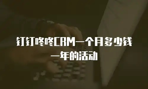 钉钉咚咚CRM一个月多少钱一年的活动