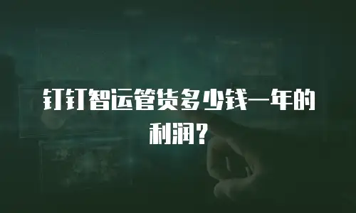 钉钉智运管货多少钱一年的利润？