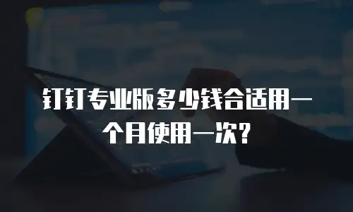 钉钉专业版多少钱合适用一个月使用一次？