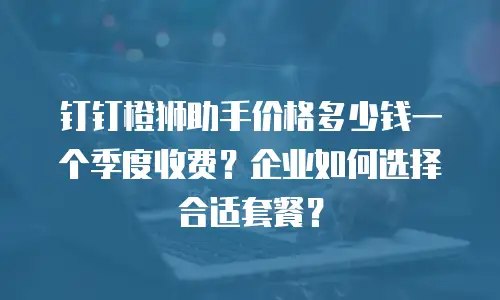 钉钉橙狮助手价格多少钱一个季度收费？企业如何选择合适套餐？