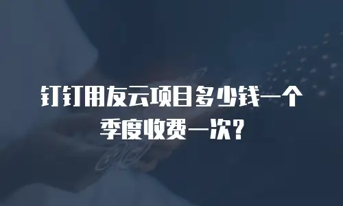 钉钉用友云项目多少钱一个季度收费一次？