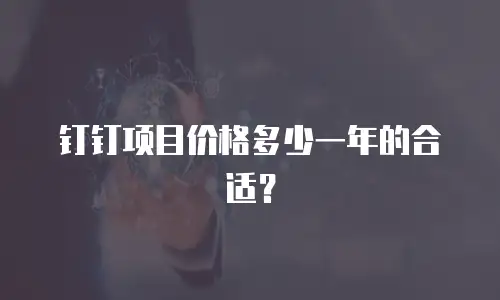 钉钉项目价格多少一年的合适？