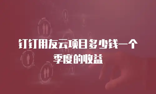 钉钉用友云项目多少钱一个季度的收益