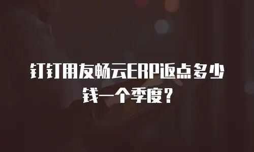 钉钉用友畅云ERP返点多少钱一个季度？