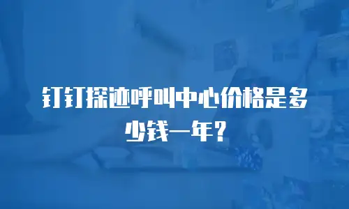 钉钉探迹呼叫中心价格是多少钱一年？