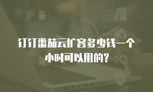 钉钉番茄云扩容多少钱一个小时可以用的？