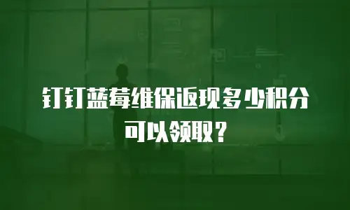 钉钉蓝莓维保返现多少积分可以领取？