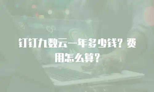 钉钉九数云一年多少钱？费用怎么算？