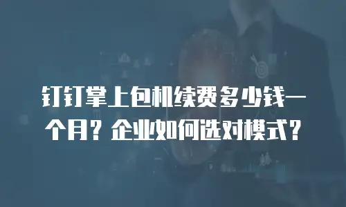 钉钉掌上包机续费多少钱一个月？企业如何选对模式？