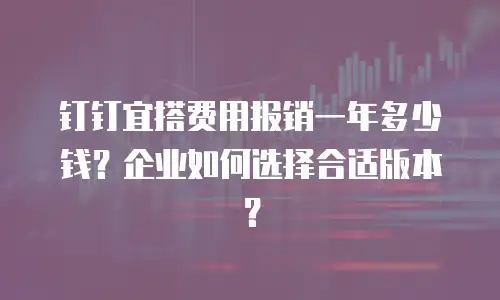 钉钉宜搭费用报销一年多少钱？企业如何选择合适版本？