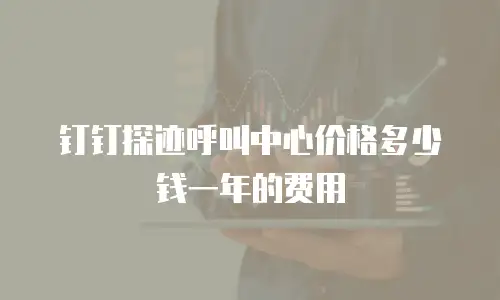 钉钉探迹呼叫中心价格多少钱一年的费用