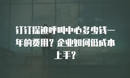 钉钉探迹呼叫中心多少钱一年的费用？企业如何低成本上手？