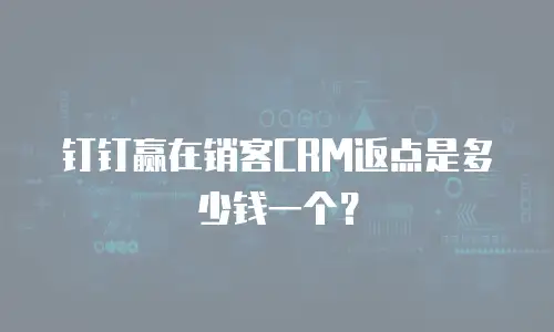 钉钉赢在销客CRM返点是多少钱一个？