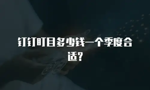 钉钉盯目多少钱一个季度合适？