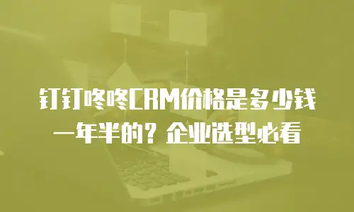 钉钉咚咚CRM价格是多少钱一年半的？企业选型必看