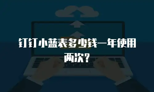 钉钉小蓝表多少钱一年使用两次？