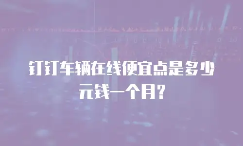 钉钉车辆在线便宜点是多少元钱一个月？