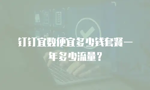 钉钉宜数便宜多少钱套餐一年多少流量？