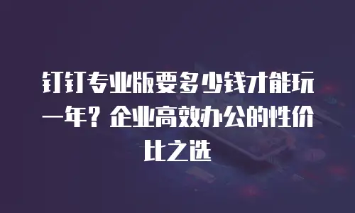 钉钉专业版要多少钱才能玩一年？企业高效办公的性价比之选