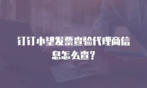 钉钉小望发票查验代理商信息怎么查？