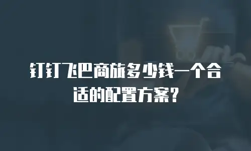 钉钉飞巴商旅多少钱一个合适的配置方案？