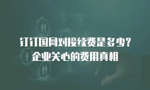 钉钉国网对接续费是多少？企业关心的费用真相