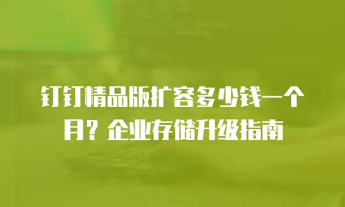 钉钉精品版扩容多少钱一个月？企业存储升级指南