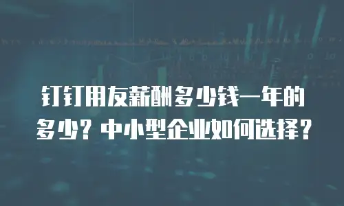 钉钉用友薪酬多少钱一年的多少？中小型企业如何选择？