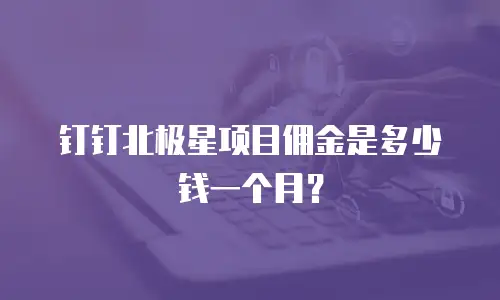 钉钉北极星项目佣金是多少钱一个月？