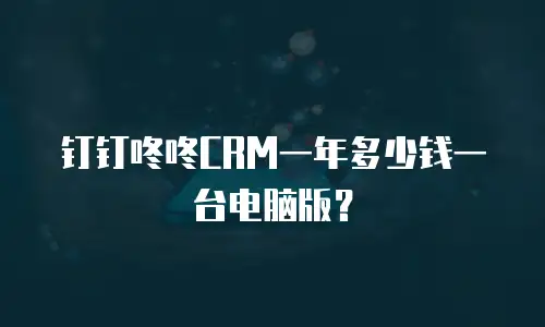 钉钉咚咚CRM一年多少钱一台电脑版？