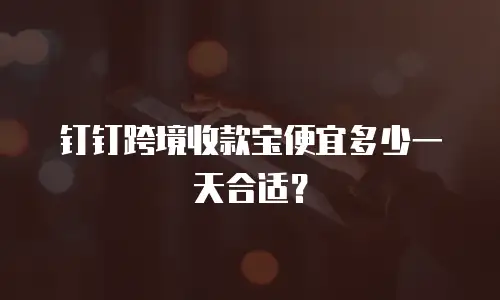 钉钉跨境收款宝便宜多少一天合适？