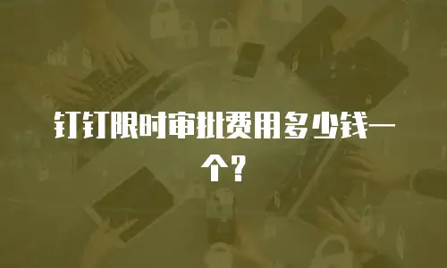 钉钉限时审批费用多少钱一个？
