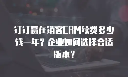 钉钉赢在销客CRM续费多少钱一年？企业如何选择合适版本？