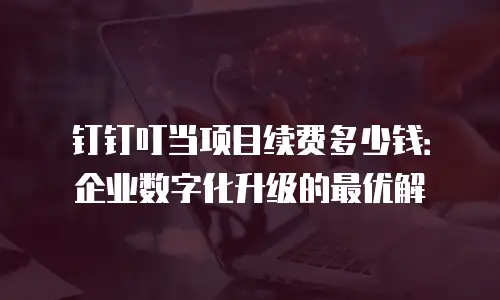 钉钉叮当项目续费多少钱：企业数字化升级的最优解
