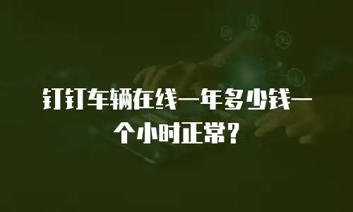 钉钉车辆在线一年多少钱一个小时正常？