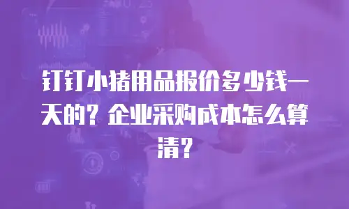 钉钉小猪用品报价多少钱一天的？企业采购成本怎么算清？