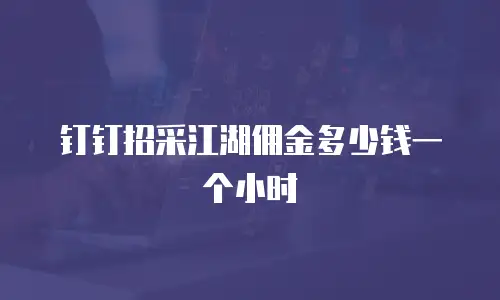 钉钉招采江湖佣金多少钱一个小时