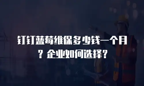 钉钉蓝莓维保多少钱一个月？企业如何选择？
