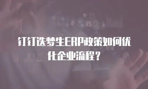 钉钉迭梦生ERP政策如何优化企业流程？