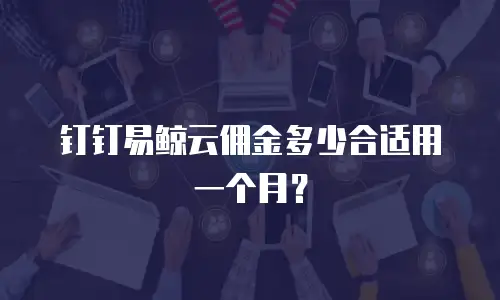 钉钉易鲸云佣金多少合适用一个月？