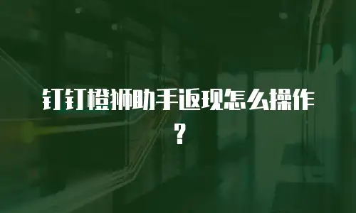 钉钉橙狮助手返现怎么操作？